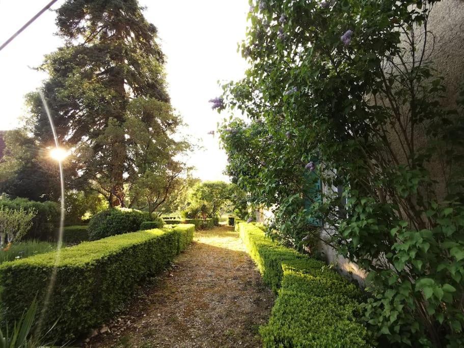 Charmant Studio Avec Jardin A La Campagne Sur Le Chemin De Saint Jacques De Compostelle Lauzerte Exterior foto
