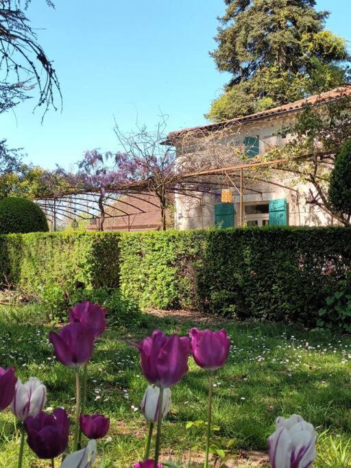 Charmant Studio Avec Jardin A La Campagne Sur Le Chemin De Saint Jacques De Compostelle Lauzerte Exterior foto